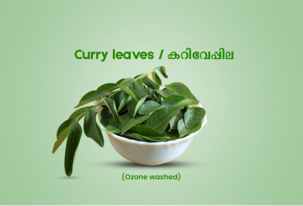 Curry leaves / കറിവേപ്പില - 50.00 gm Pack (Ozone Washed)